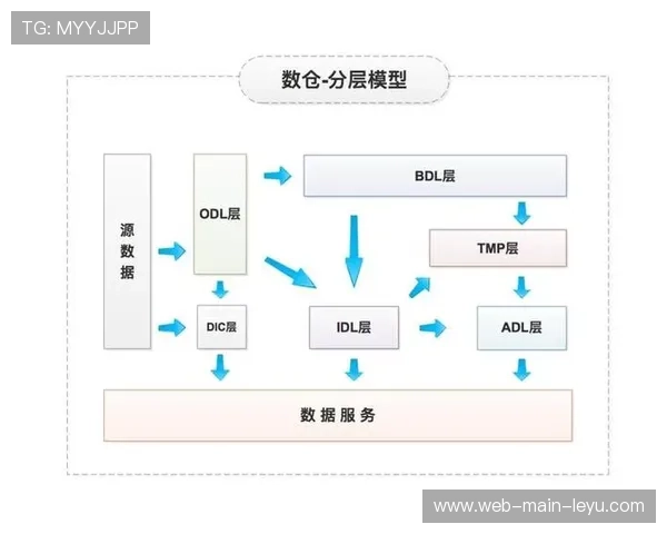 市场呈现分层趋势，高端定制化与经济标准化方案满足不同需求