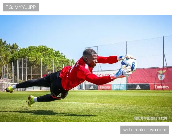 球迷调查显示：超过六成球迷认为战术素养是观赛乐趣的重要组成部分